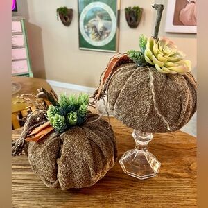 Set of 2 Handmade Succulent Chenille Fall Pumpkins - Fabric Fall Pumpkins - Boho
